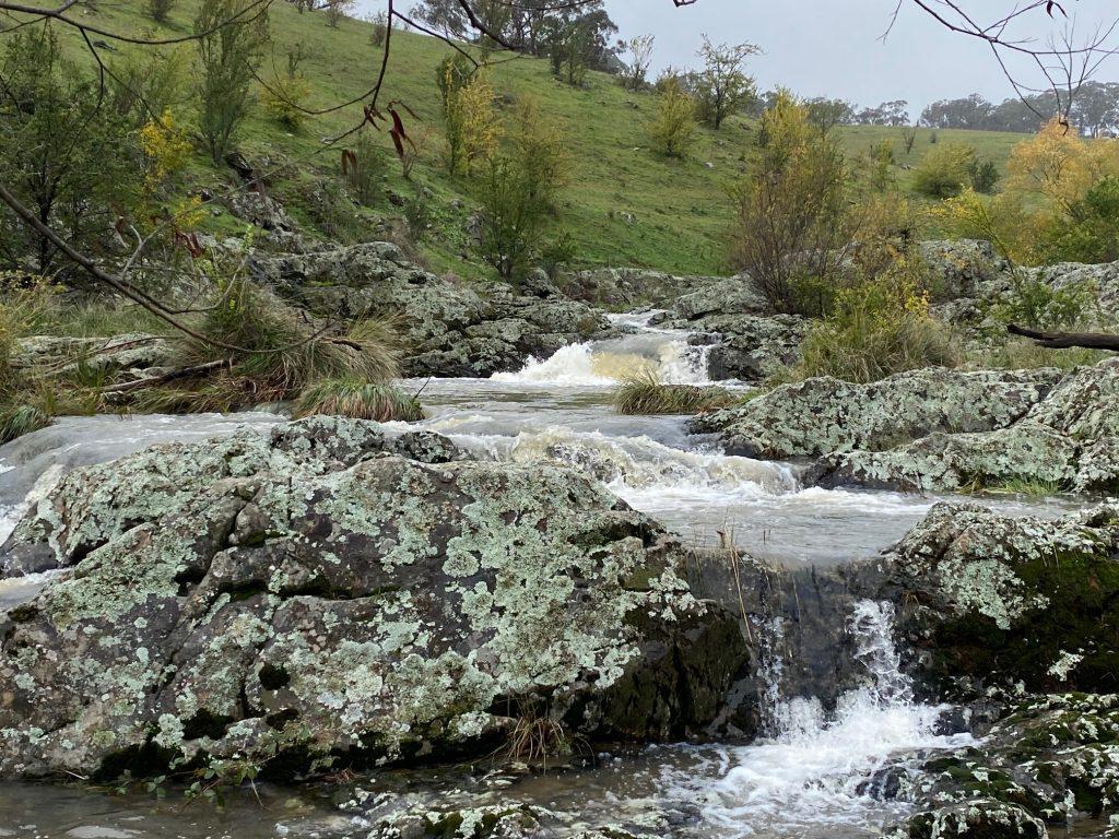 Unlimited Licencing agreement Renegotian Strategy